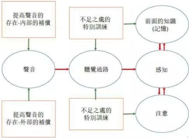 中枢听觉处理障碍